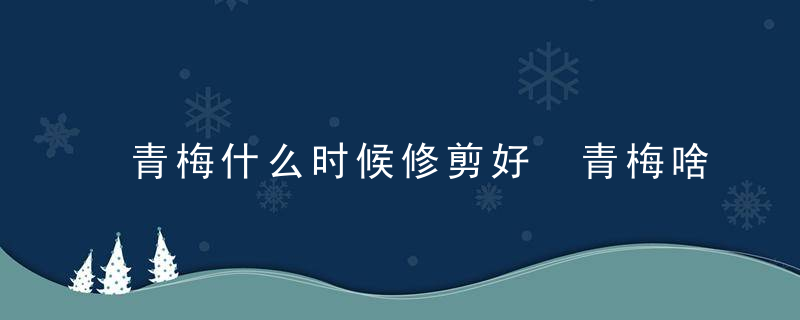 青梅什么时候修剪好 青梅啥时候修剪比较合适